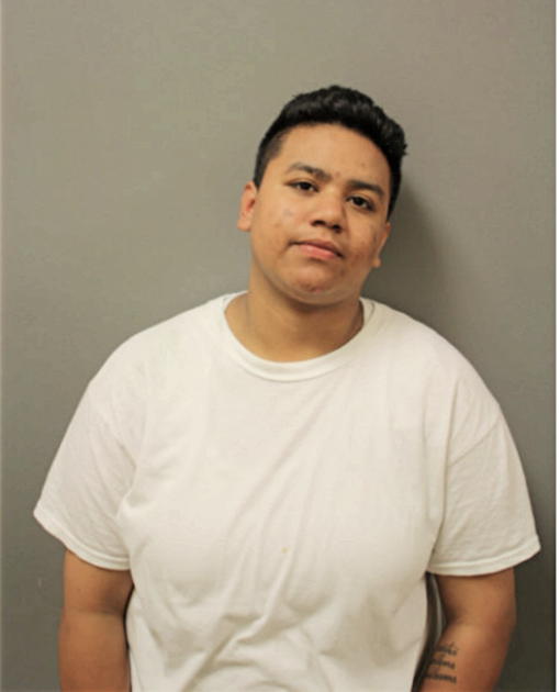 ANNETTE LEDESMAN, Cook County, Illinois