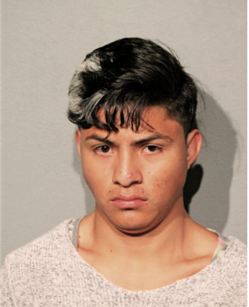JONATHAN L MARTINEZ, Cook County, Illinois