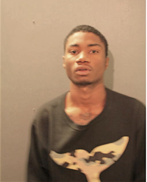 BRANDON J MATHIS, Cook County, Illinois
