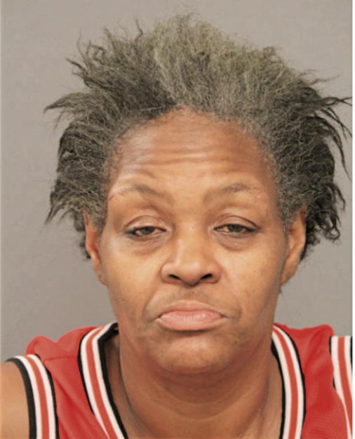NINA S MCGHEE, Cook County, Illinois