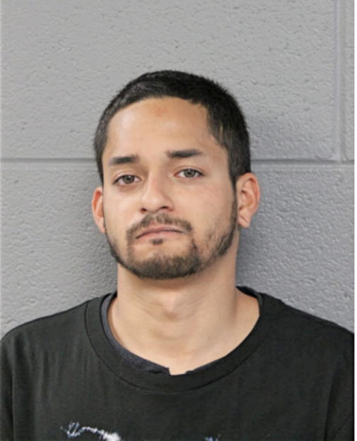 ANDY MELENDEZ, Cook County, Illinois