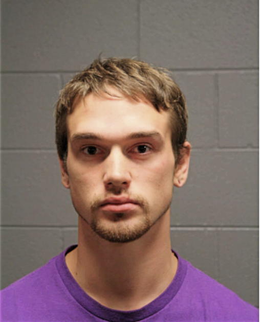 DARRELL L NILES, Cook County, Illinois