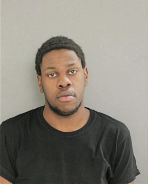 AUSTIN M PALMER, Cook County, Illinois