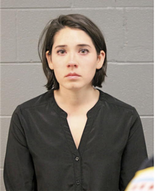 PAIGE E PORTER, Cook County, Illinois