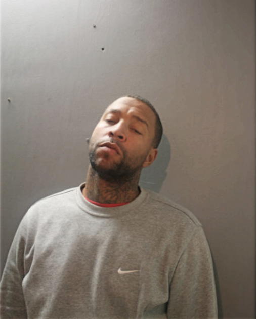 CHRISTOPHER T REYNOLDS, Cook County, Illinois