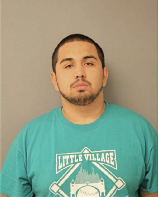 IVAN E SALINAS, Cook County, Illinois