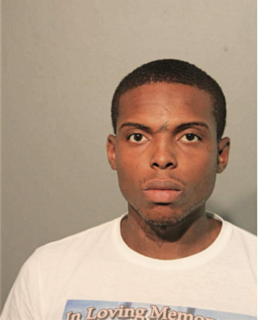 TYSHAWN E TERRY, Cook County, Illinois