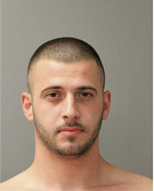TODOR K TODOROV, Cook County, Illinois