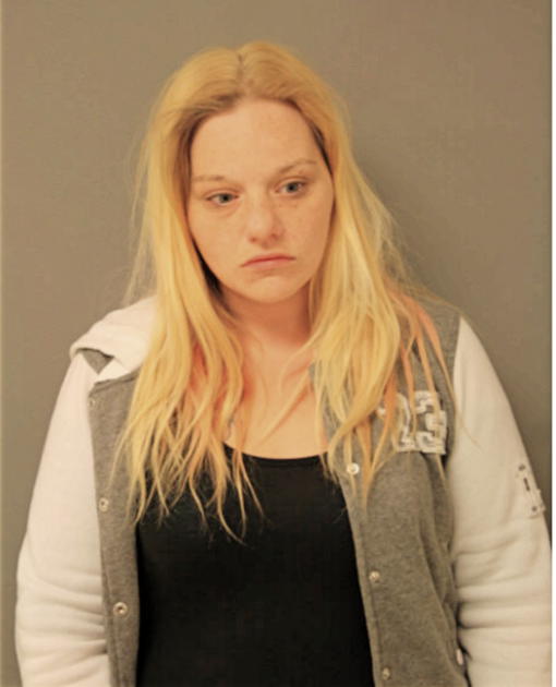 KATIE E VANDAM, Cook County, Illinois