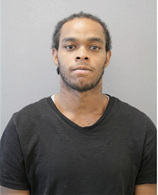 THADDEUS M WILLIAMS, Cook County, Illinois