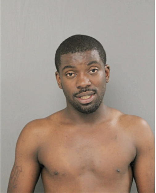 HAKEEM E ADAMS, Cook County, Illinois