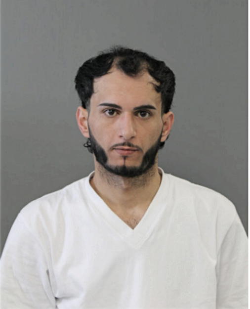 ALI A ALNASER, Cook County, Illinois