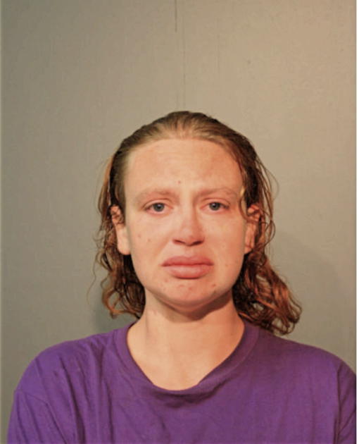 ELIZABETH A APPLER, Cook County, Illinois