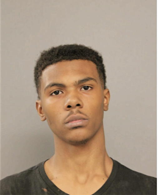 DAVID D BASS, Cook County, Illinois