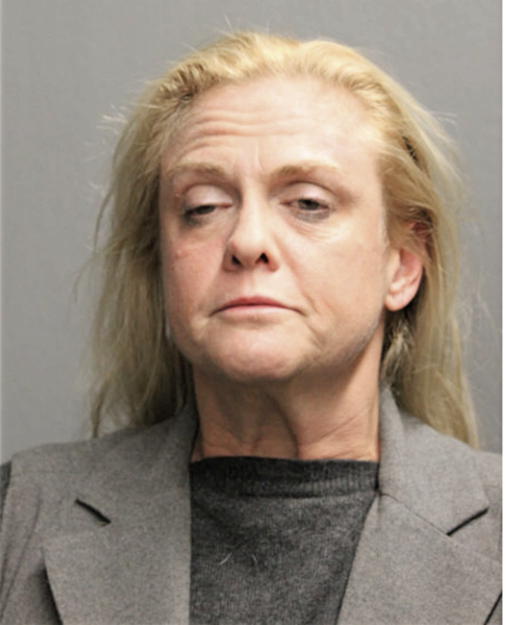TRACY L BAUM, Cook County, Illinois
