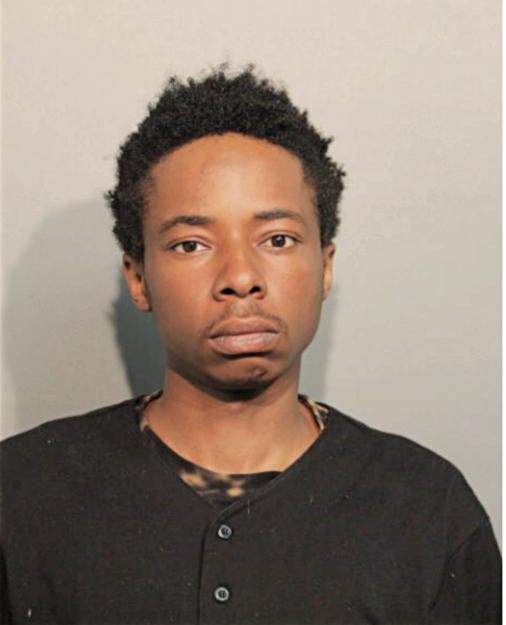 MICHAEL T BRUCE, Cook County, Illinois