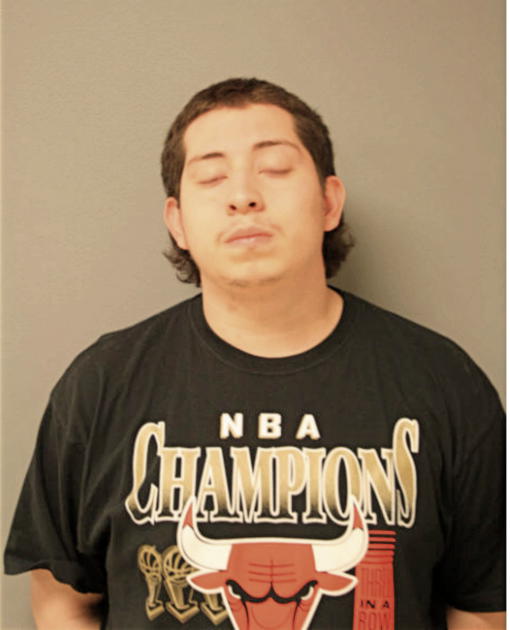 JUAN F DOMINGUEZ, Cook County, Illinois