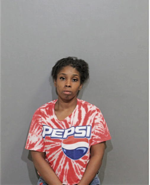 BRIANA L DOTSON, Cook County, Illinois