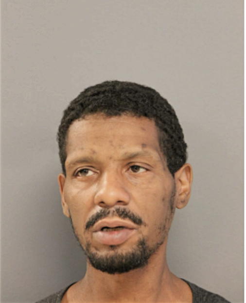 SHAWN L HAYES, Cook County, Illinois