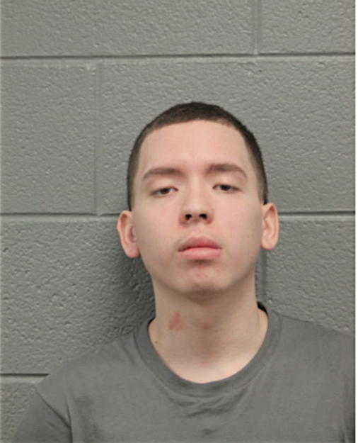 ROGELIO HERMOSILLO, Cook County, Illinois