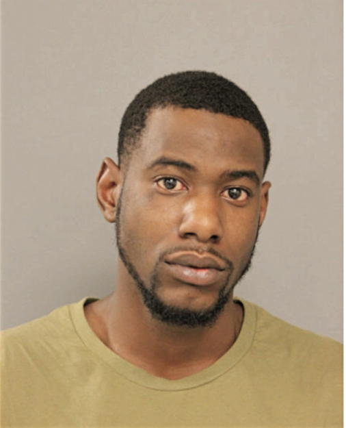 BRANDON J MCCOY, Cook County, Illinois