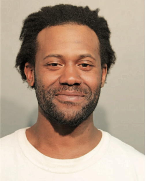 MICHAEL L JOHNSON, Cook County, Illinois