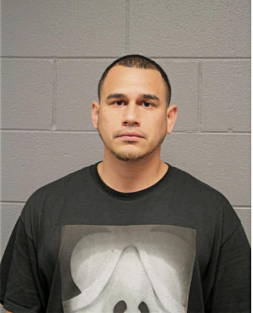 VICTOR M LEON, Cook County, Illinois