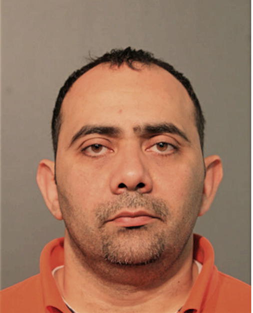 AMER R MOSTAFA, Cook County, Illinois