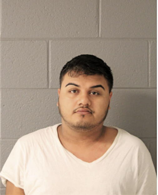 ALEJANDRO NAVA, Cook County, Illinois