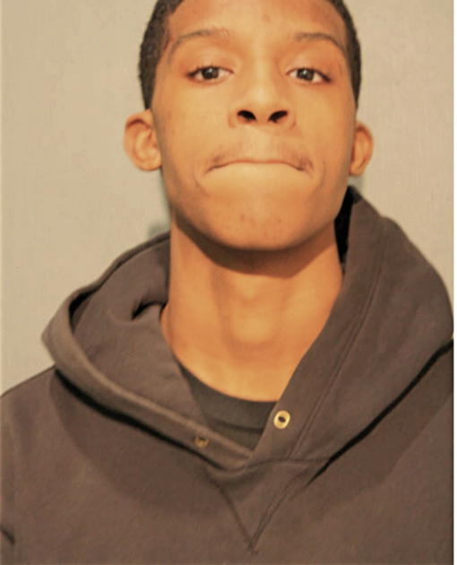 ETHAN NICHOLSON, Cook County, Illinois