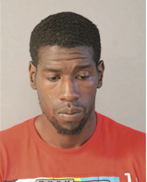 TERRELL L PITMANN, Cook County, Illinois