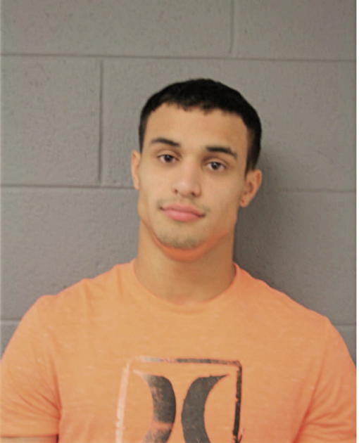 JORGE L QUINTANA, Cook County, Illinois