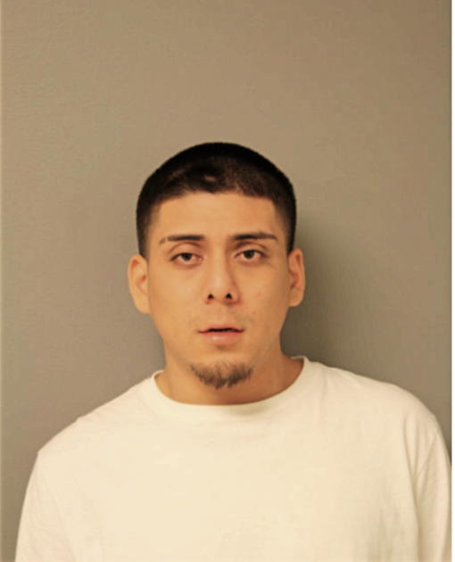 LUIS J REYES, Cook County, Illinois