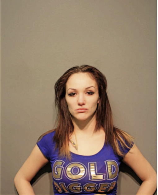 MICHELLE T RODRIGUEZ, Cook County, Illinois