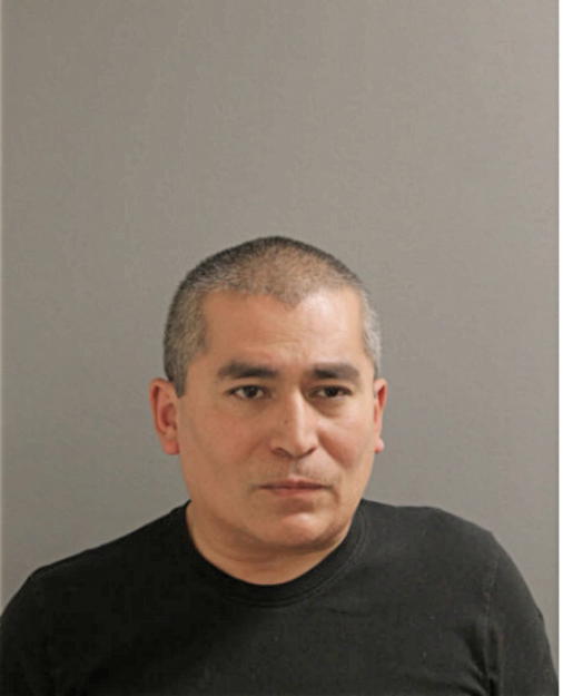 JUAN A ROLON, Cook County, Illinois