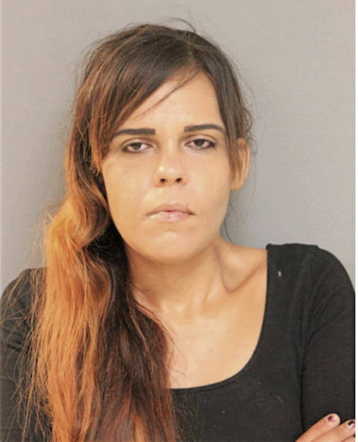 ERICA A ROSALES, Cook County, Illinois