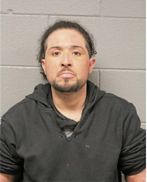 CHRISTIANE J SANCHEZ, Cook County, Illinois