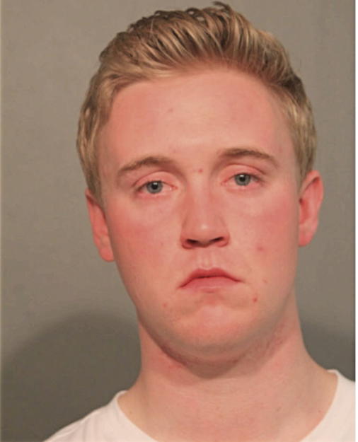 ANDREW SIMEK, Cook County, Illinois