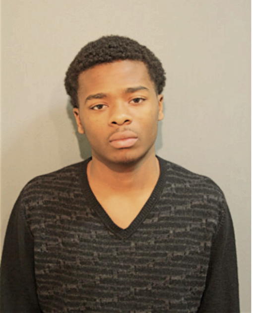 TIMOTHY N SIMMONS, Cook County, Illinois