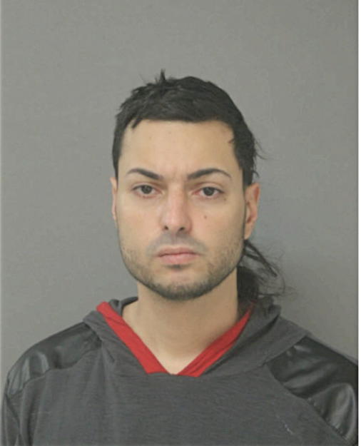 FRANCISCO O VEGA, Cook County, Illinois