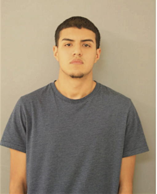 OMAR VILLICANA, Cook County, Illinois