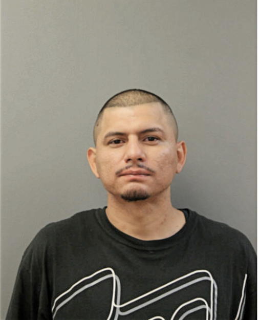 RODOLFO AVILA, Cook County, Illinois