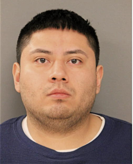 ALEXANDER BRAVO, Cook County, Illinois