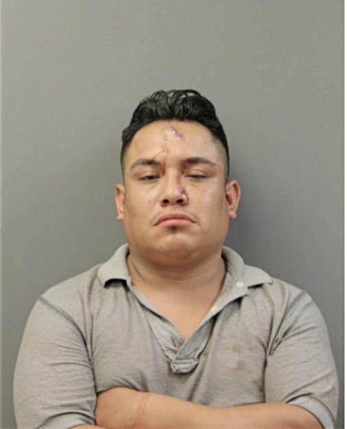 JESUS BRAVO, Cook County, Illinois
