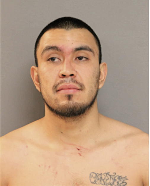 OSCAR CORTEZ CANAS, Cook County, Illinois