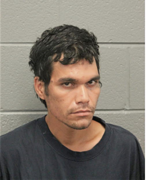 GEOVEL FELICIANO, Cook County, Illinois