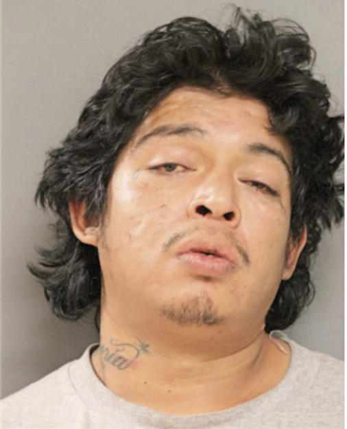 ELLIOT A FLORES, Cook County, Illinois