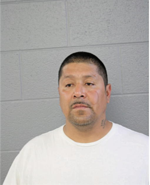 JOHN F GARCIA, Cook County, Illinois