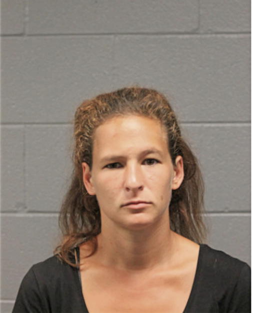 JESSICA L GOODMAN, Cook County, Illinois