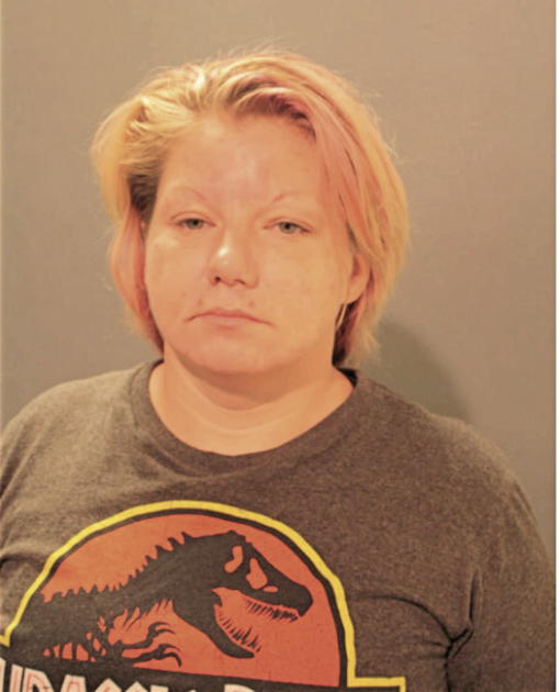 CATHERINE A HICKS, Cook County, Illinois